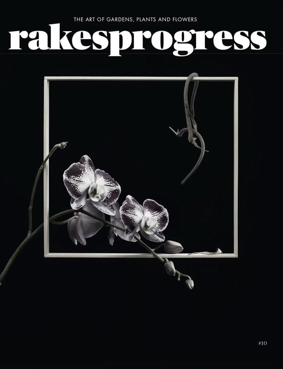 Rakes SENSE / Rakesprogress magazines at Indigo - Image 3